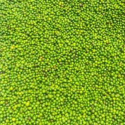 ECB ecocyclebotech extracto de neem