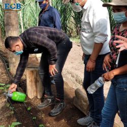 investigación ECB ecocyclebiotech bioinsumos agrícolas